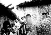 Kurd